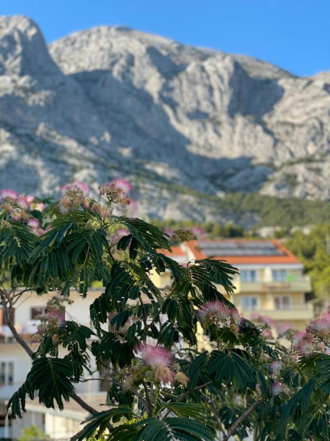 Heaven'S View Apartments Baska Voda Bagian luar foto